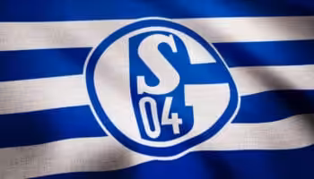 Officielt: Schalke 04-cheftræner fyret efter ti ligakampe