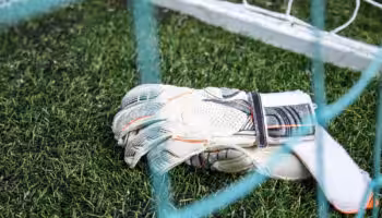 Officielt: Ellegaard lægger handskerne på hylden