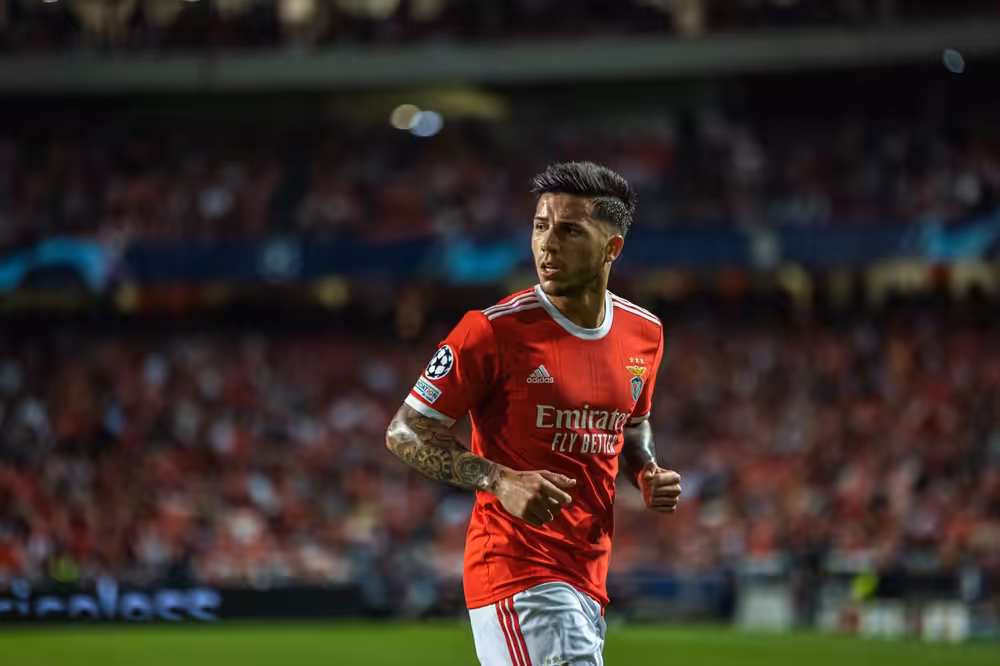 Enzo Fernandez